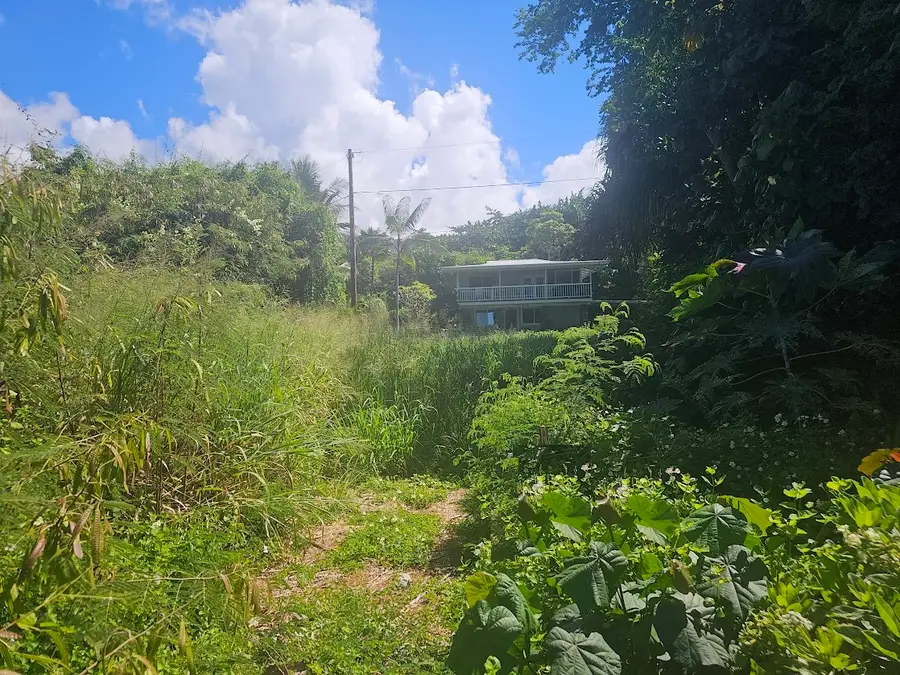 Kahauloa Rd, Captain Cook, HI 96704 - #3