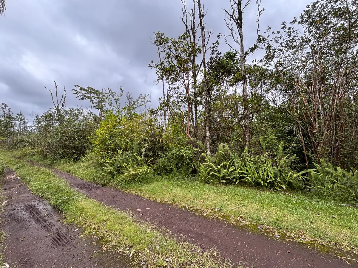 King Kamehameha Blvd, Pahoa, HI 96778 - #1