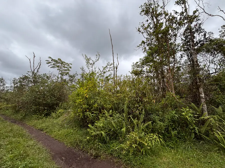 King Kamehameha Blvd, Pahoa, HI 96778 - #2