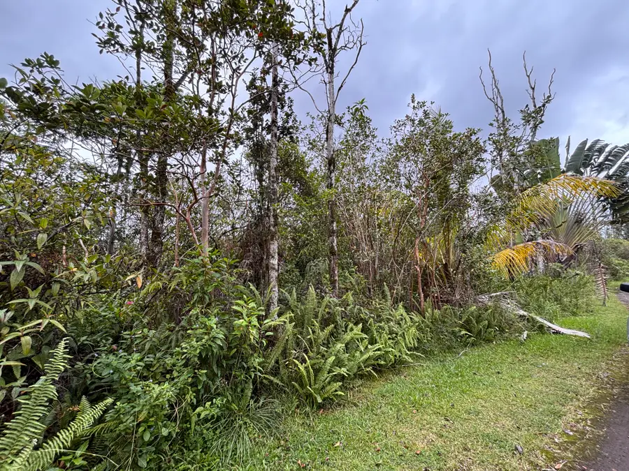 King Kamehameha Blvd, Pahoa, HI 96778 - #3