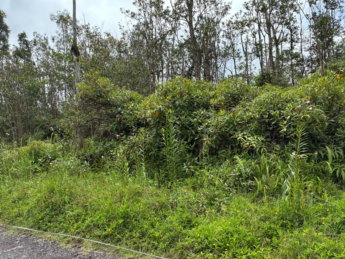 16-359 Melekule St, Keaau, HI 96749 - #1