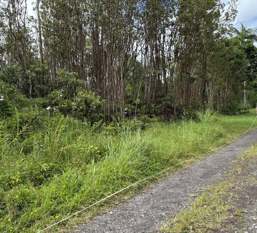 16-359 Melekule St, Keaau, HI 96749 - #2
