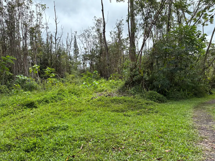 16-359 Melekule St, Keaau, HI 96749 - #3