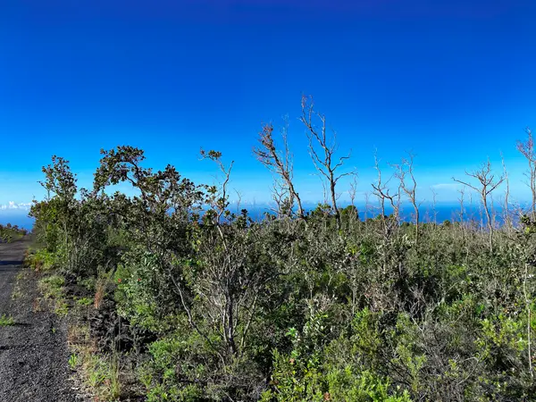 Tiki Ln, Ocean View, HI 96737
