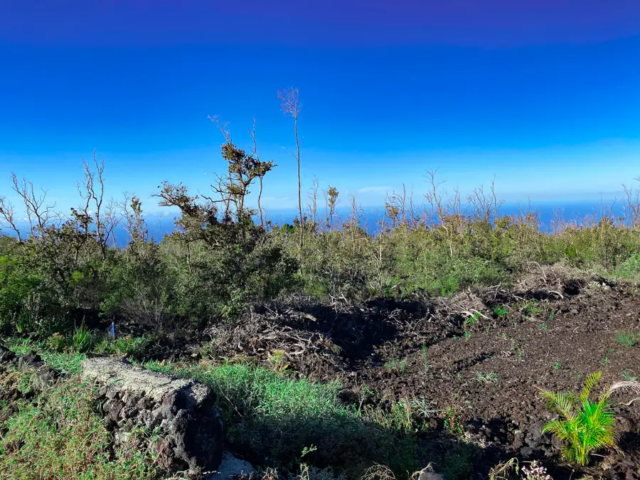Tiki Ln, Ocean View, HI 96737 - #2