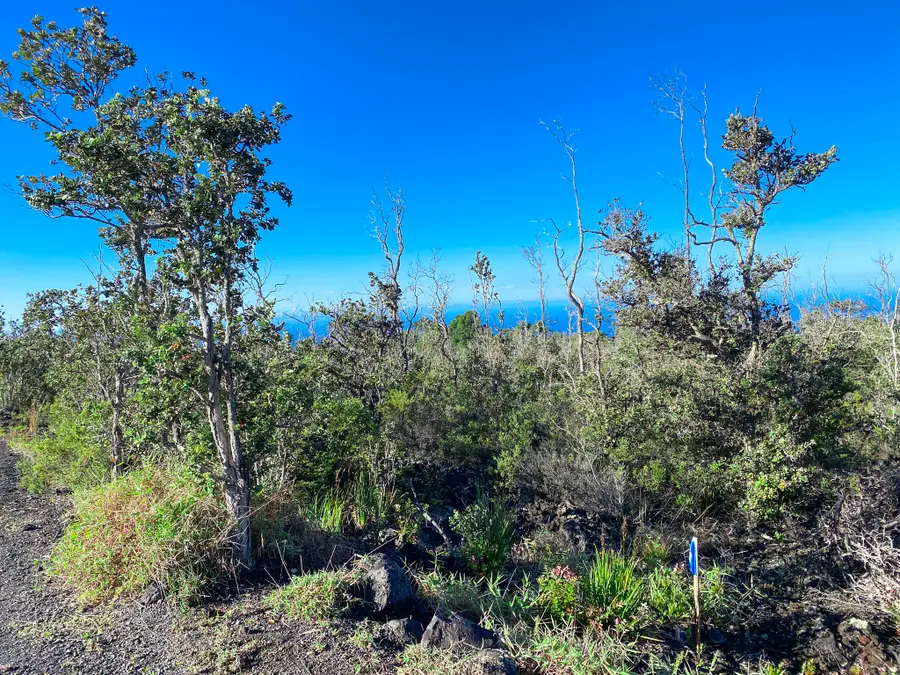 Tiki Ln, Ocean View, HI 96737 - #3