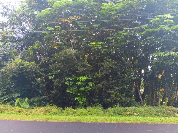 Kumakahi St, Pahoa, HI 96778