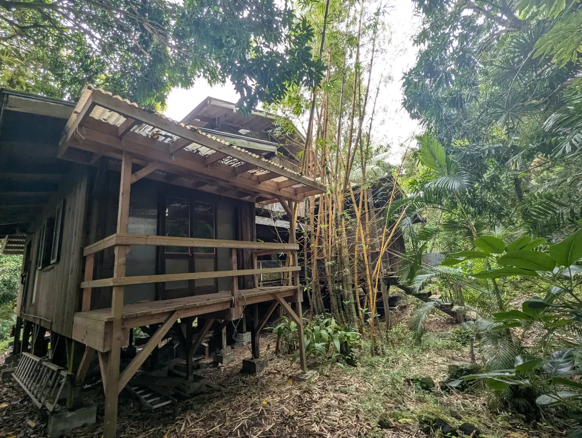 14-3878 Government Beach Rd, Pahoa, HI 96778 - #1