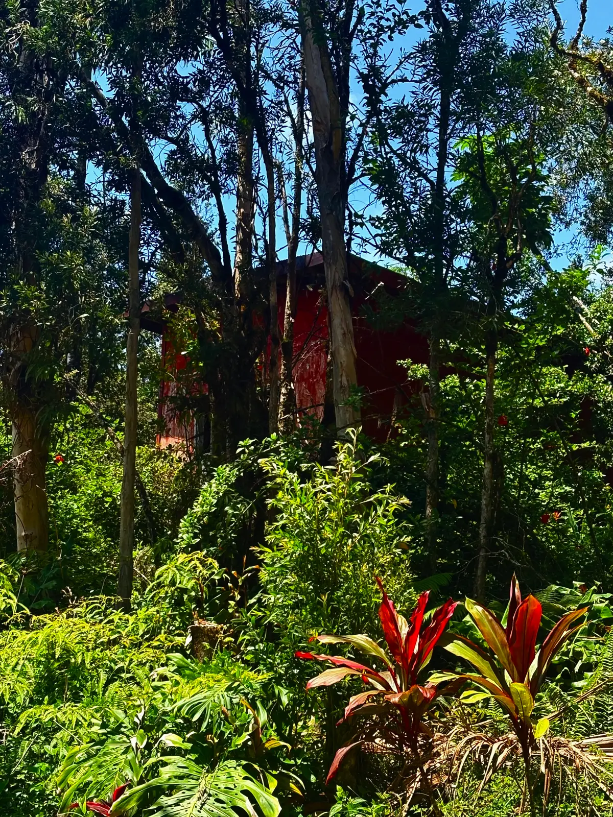 16-2112 Uhini Ana Rd, Mountain View, HI 96771 - #1