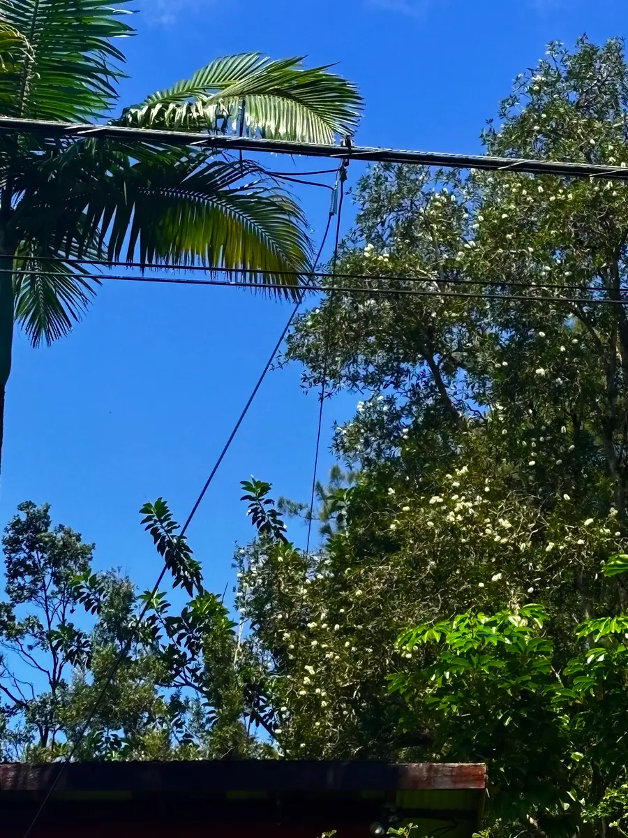 16-2112 Uhini Ana Rd, Mountain View, HI 96771 - #2