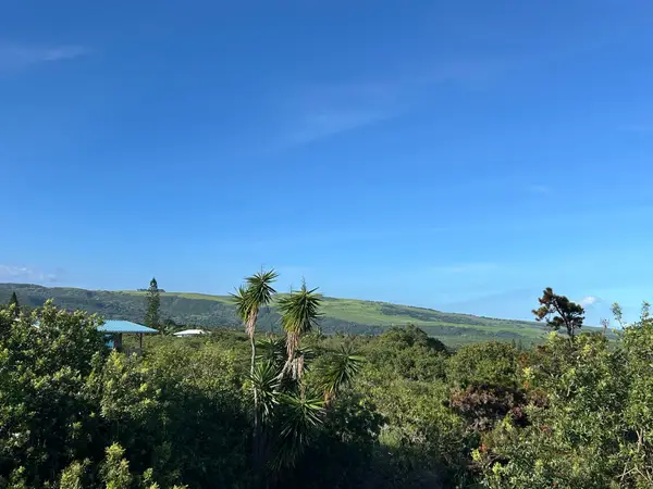 94-6482 Palaoa Rd, Naalehu, HI 96772
