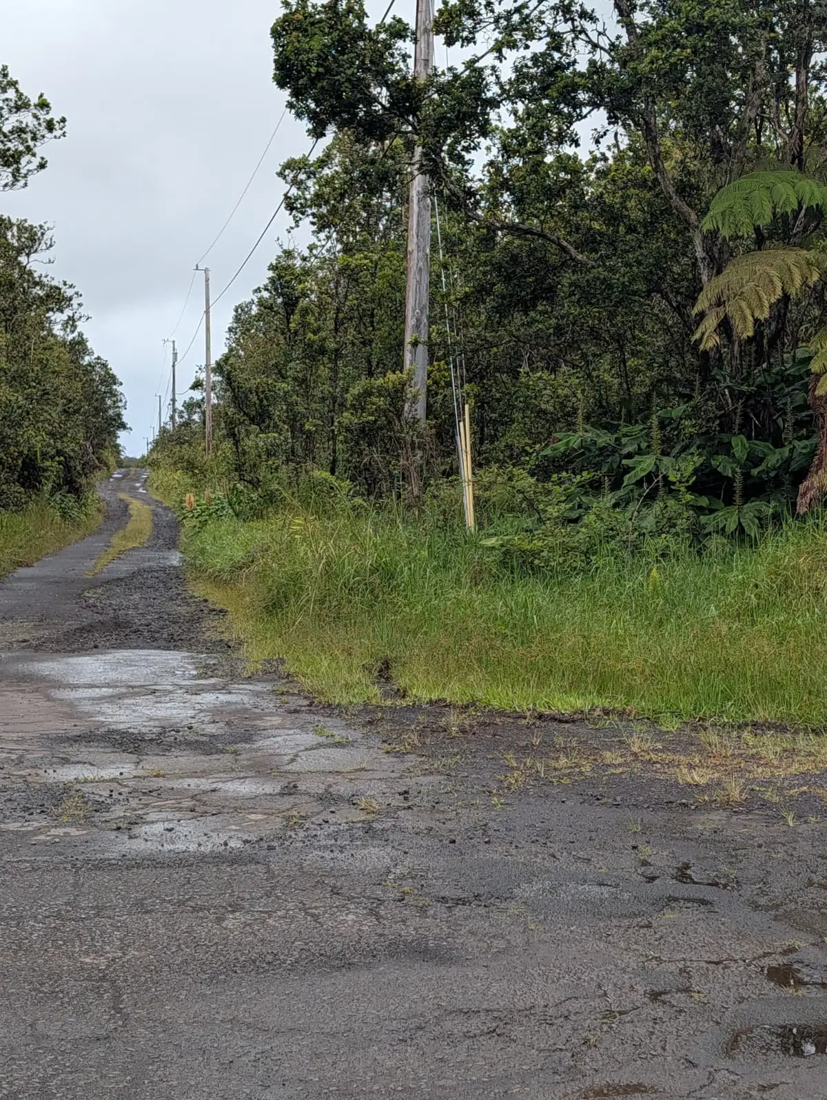 Address Withheld By Seller, Volcano, HI 96785 - #1