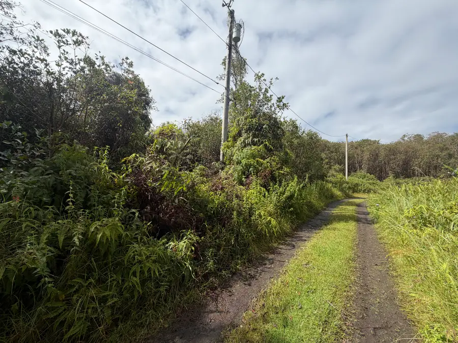 Forest Pl, Mountain View, HI 96771 - #2