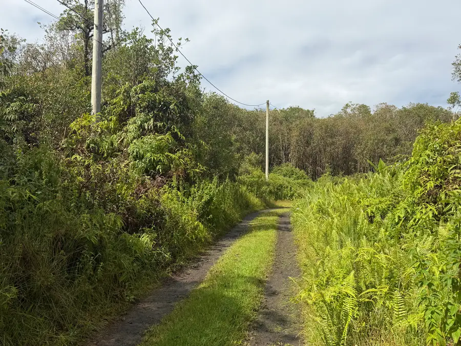 Forest Pl, Mountain View, HI 96771 - #3