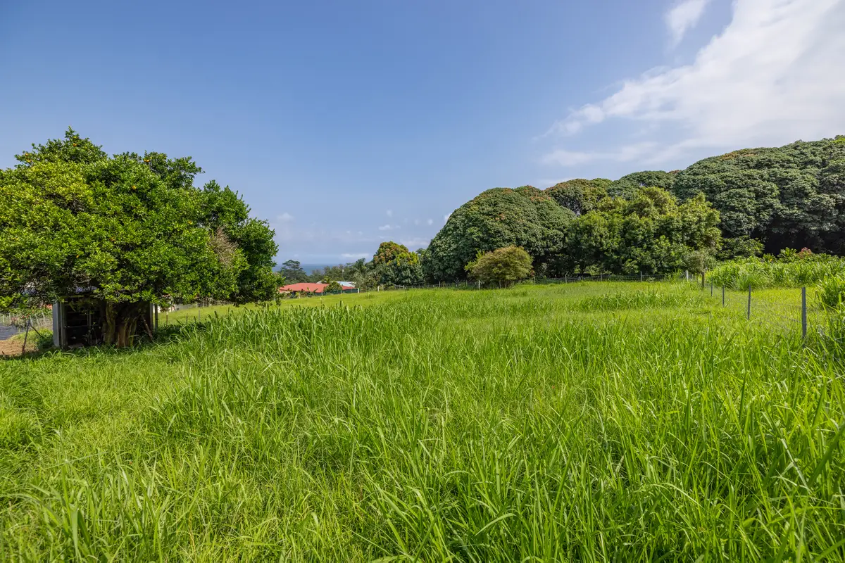 Old Mamalahoa Highway, Hakalau, HI 96710 - #1