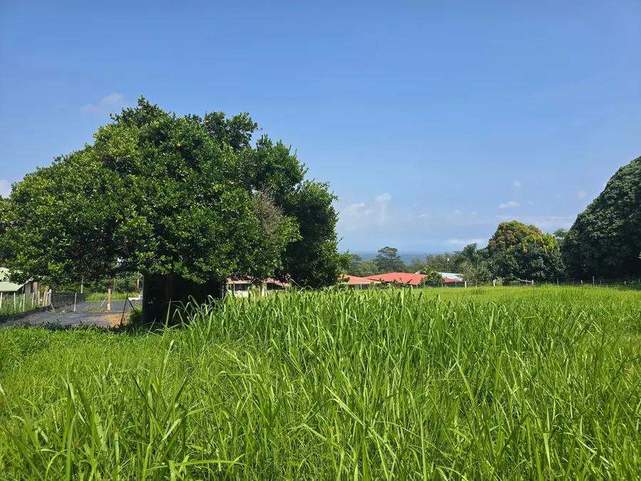 Old Mamalahoa Highway, Hakalau, HI 96710 - #3