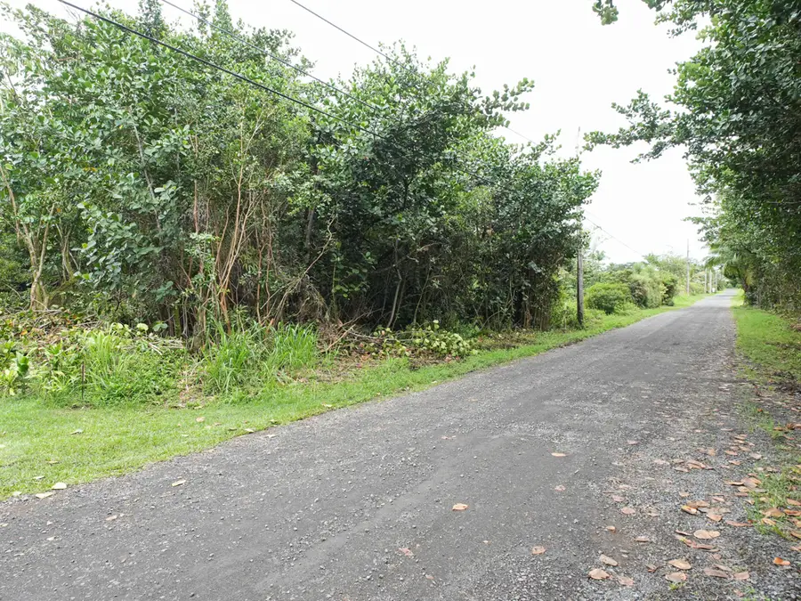 Amau Rd, Keaau, HI 96749 - #3