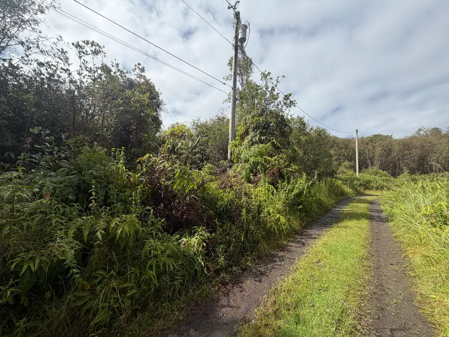 Forest Pl, Mountain View, HI 96771 - #2