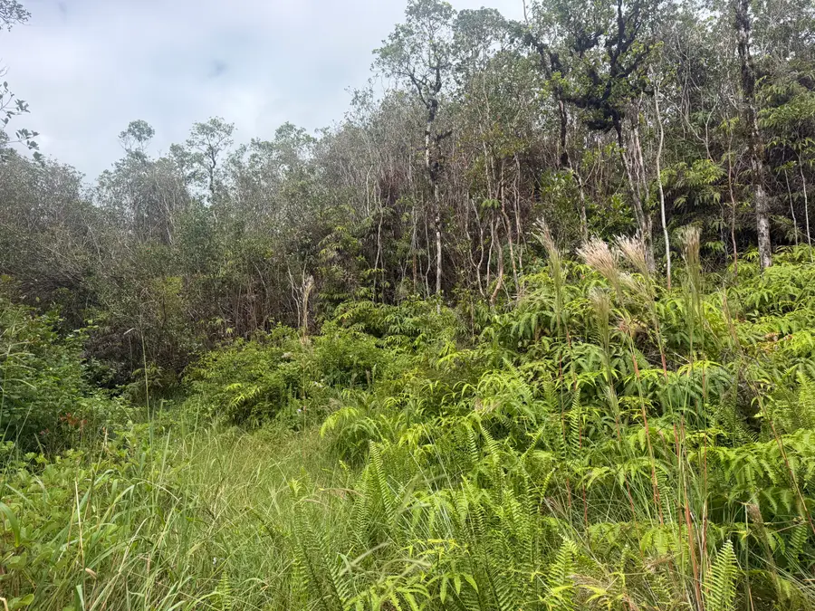 Fern Ct, Mountain View, HI 96771 - #3