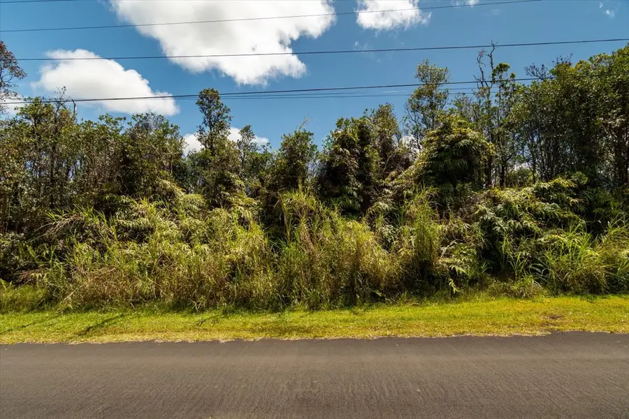Anthurium St, Mountain View, HI 96771 - #3