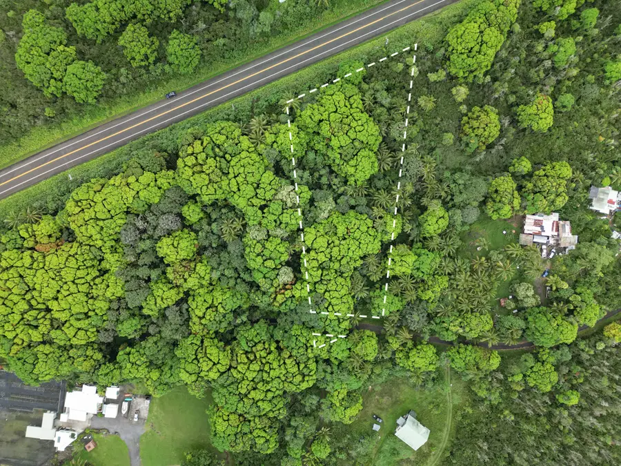 Address Withheld By Seller, Pahoa, HI 96778 - #2