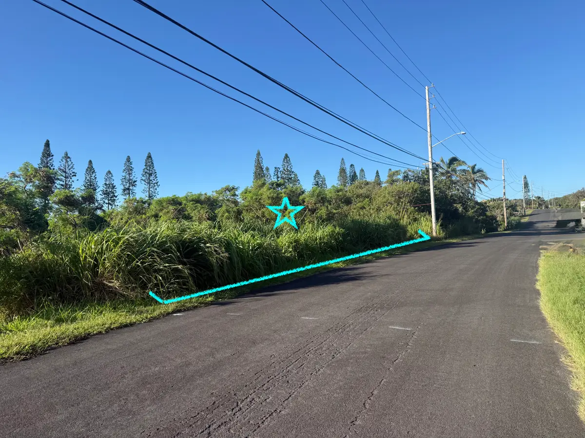 Kalakau St, Naalehu, HI 96772 - #1