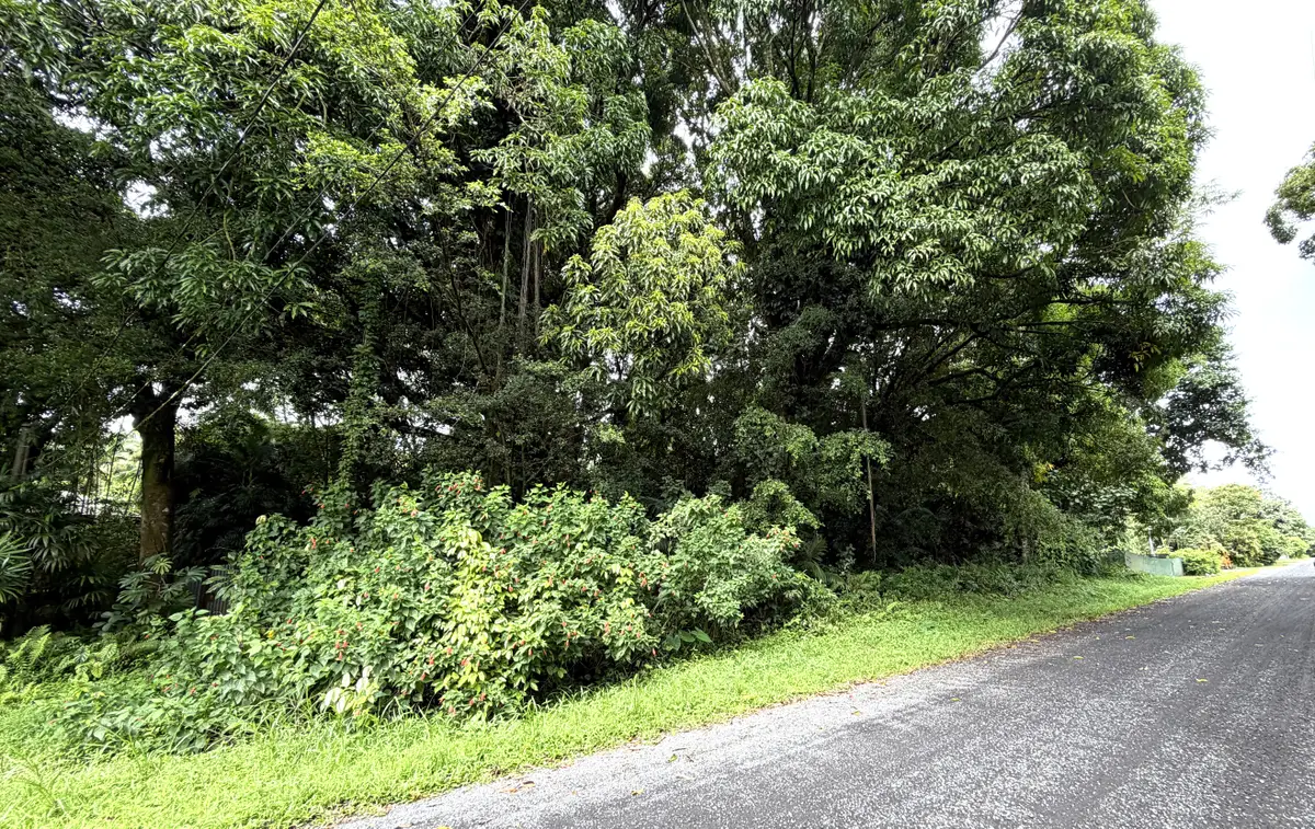 20th Ave, Keaau, HI 96749 - #1