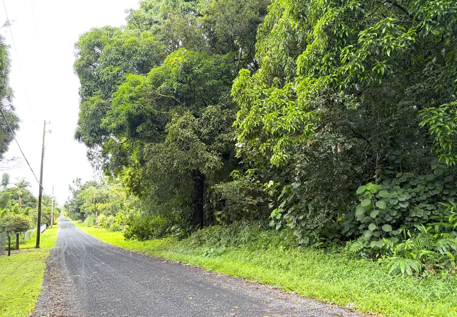 20th Ave, Keaau, HI 96749 - #2