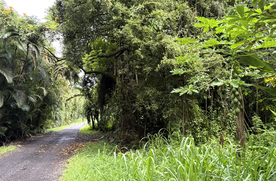 20th Ave, Keaau, HI 96749 - #3