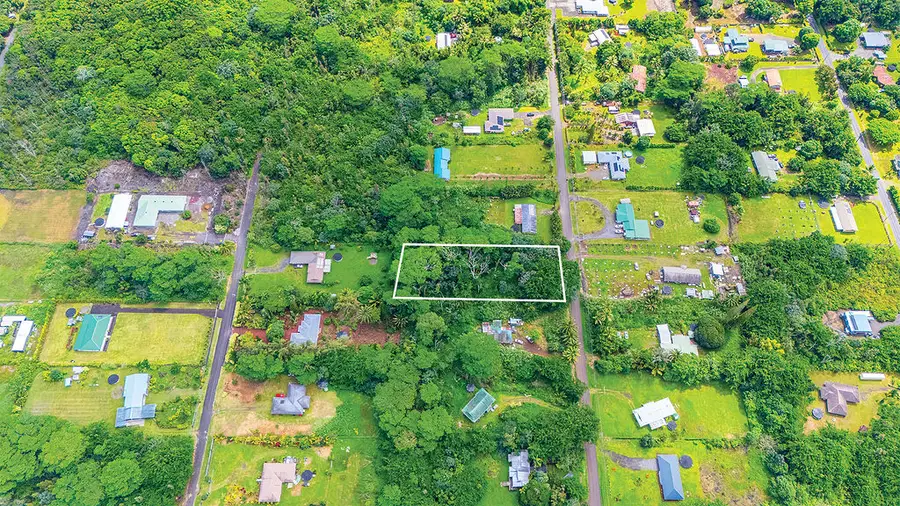 19th Ave, Keaau, HI 96749 - #3