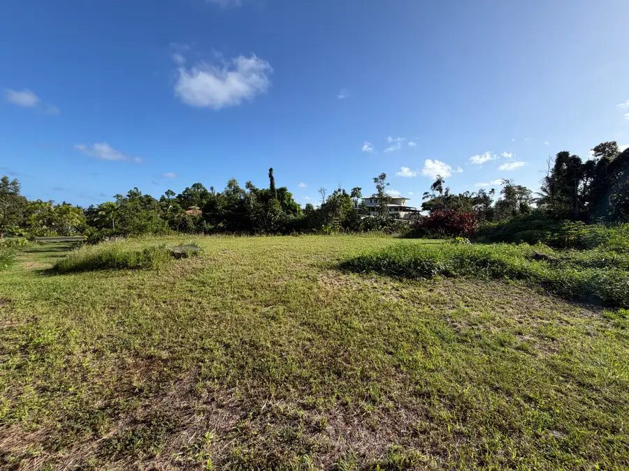 12-7136 Kalaunu St, Pahoa, HI 96778 - #2
