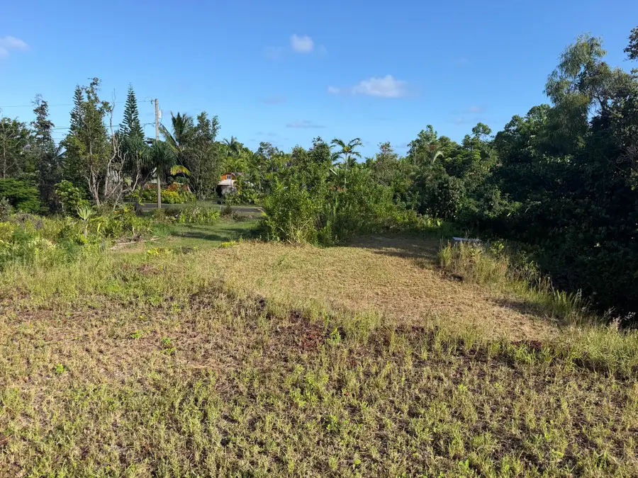 12-7136 Kalaunu St, Pahoa, HI 96778 - #3