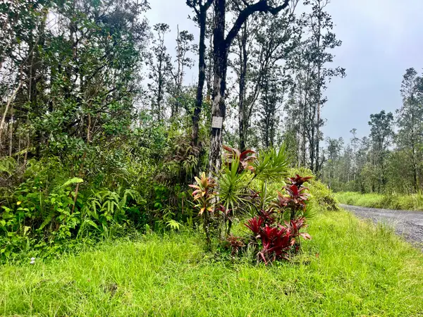 Road 4 (io Kea), Mountain View, HI 96771