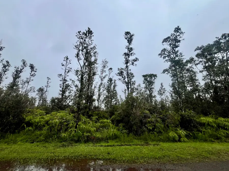 Road 4 (io Kea), Mountain View, HI 96771 - #3