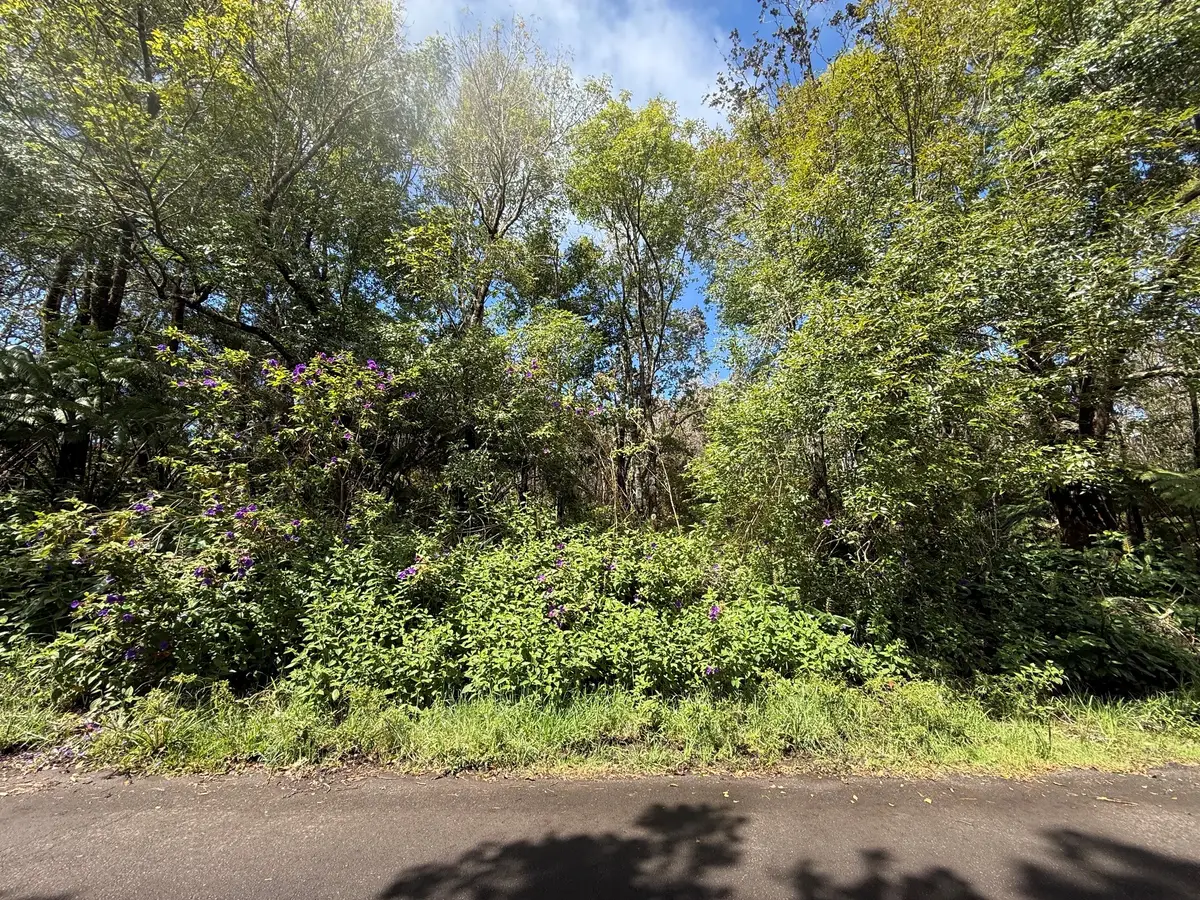 Haunani Rd, Volcano, HI 96785 - #1