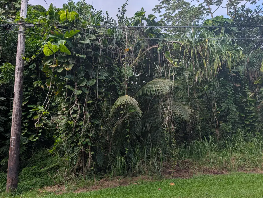 15-2778 Ono St, Pahoa, HI 96778 - #3