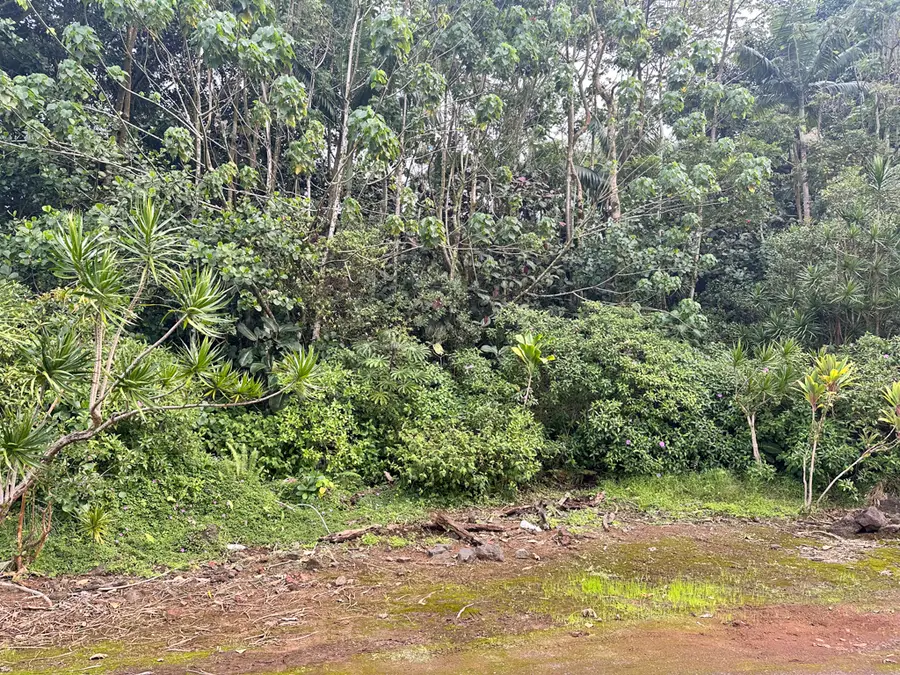 Pahoa Village Rd, Pahoa, HI 96778 - #3