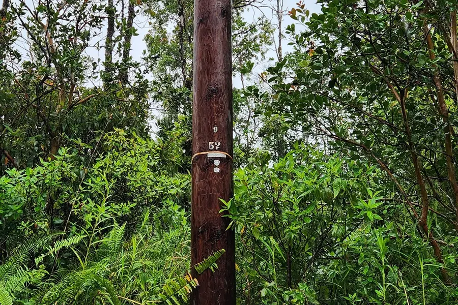 Road 2 (ao), Mountain View, HI 96771 - #3