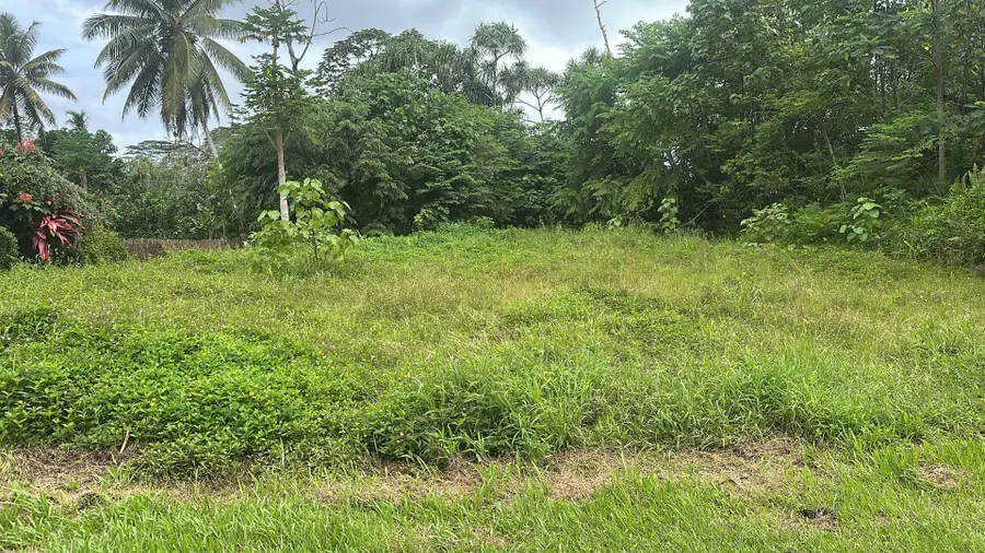 S Oopu St, Pahoa, HI 96778 - #3