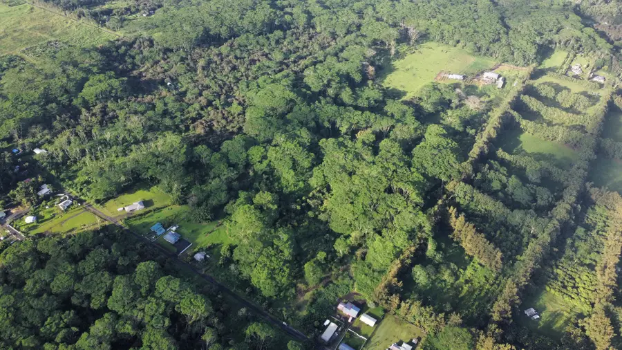 17-4070 Kukui Camp Rd, Mountain View, HI 96771 - #2