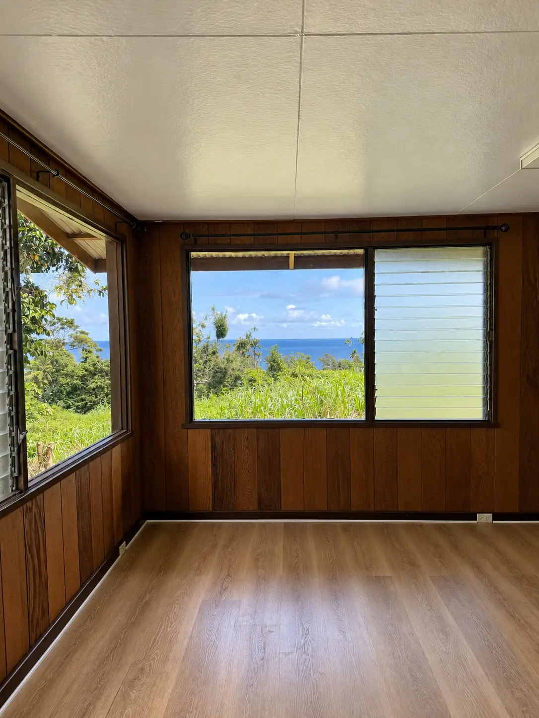 36-2288 Puualaea Homestead Rd, Laupahoehoe, HI 96764 - #1