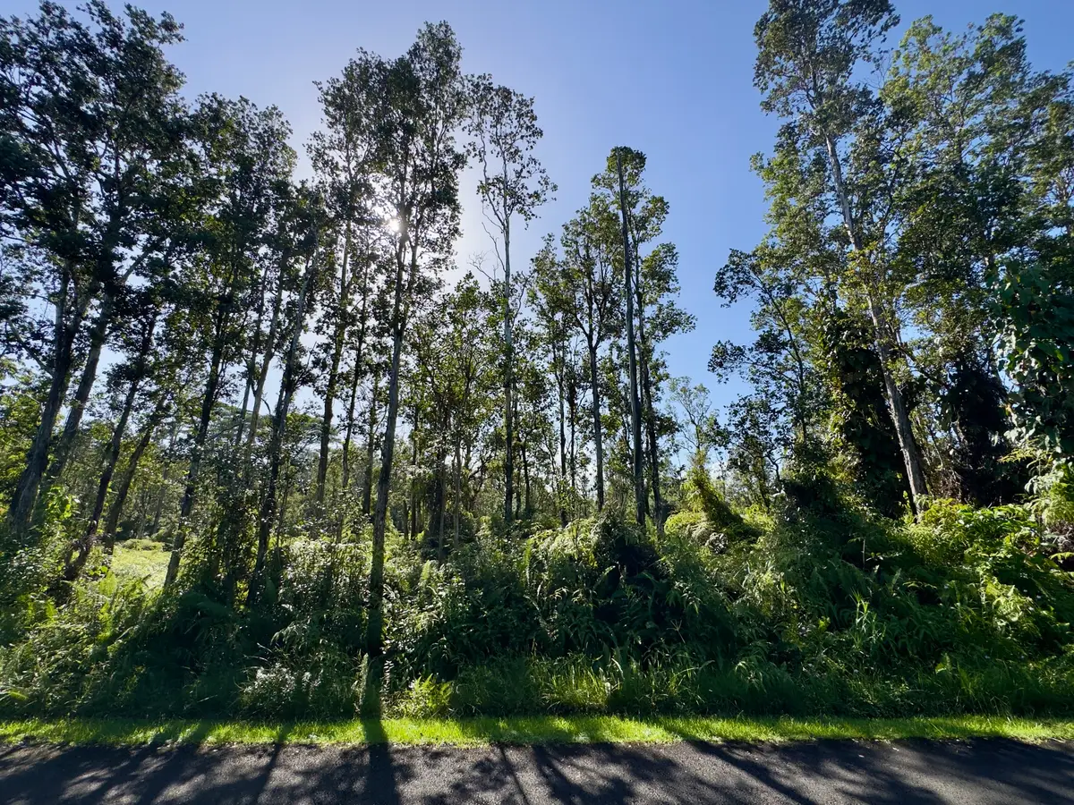 Alapai St, Pahoa, HI 96778 - #1