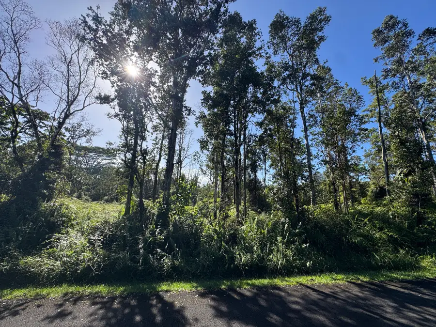 Alapai St, Pahoa, HI 96778 - #2
