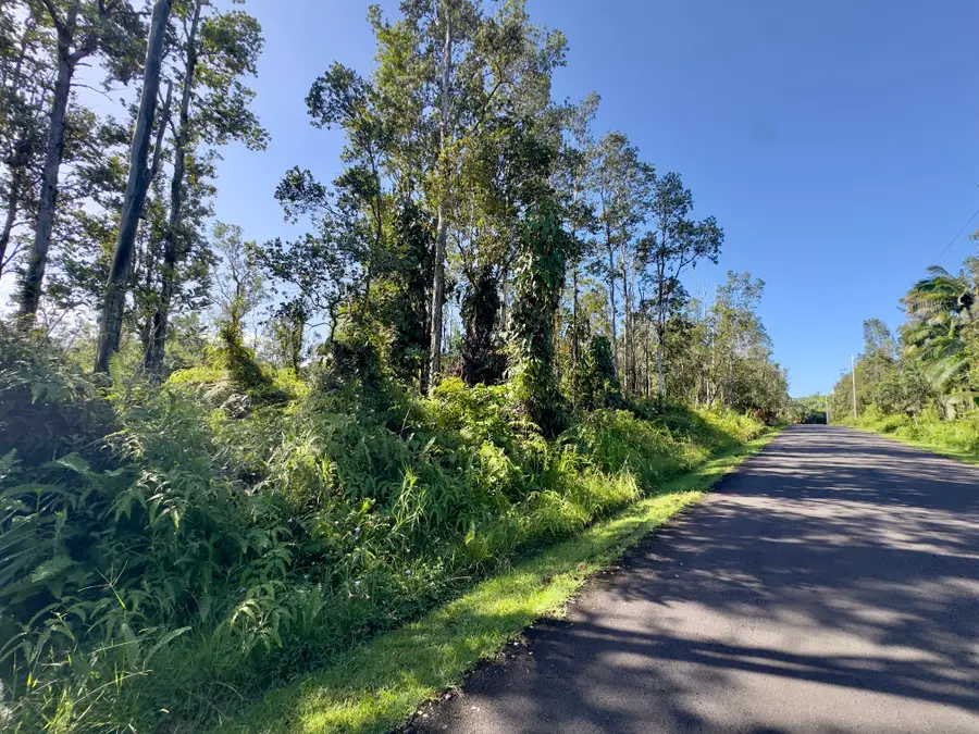 Alapai St, Pahoa, HI 96778 - #3
