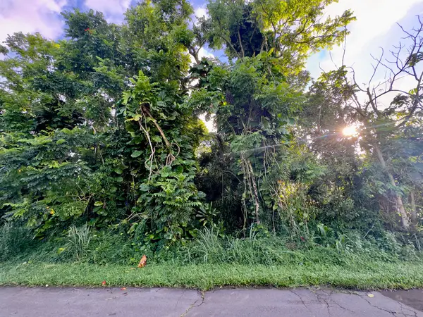 Puhala Dr, Pahoa, HI 96778