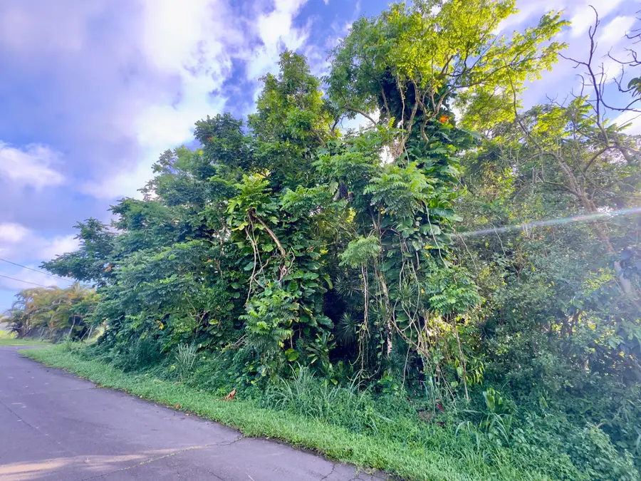 Puhala Dr, Pahoa, HI 96778 - #2