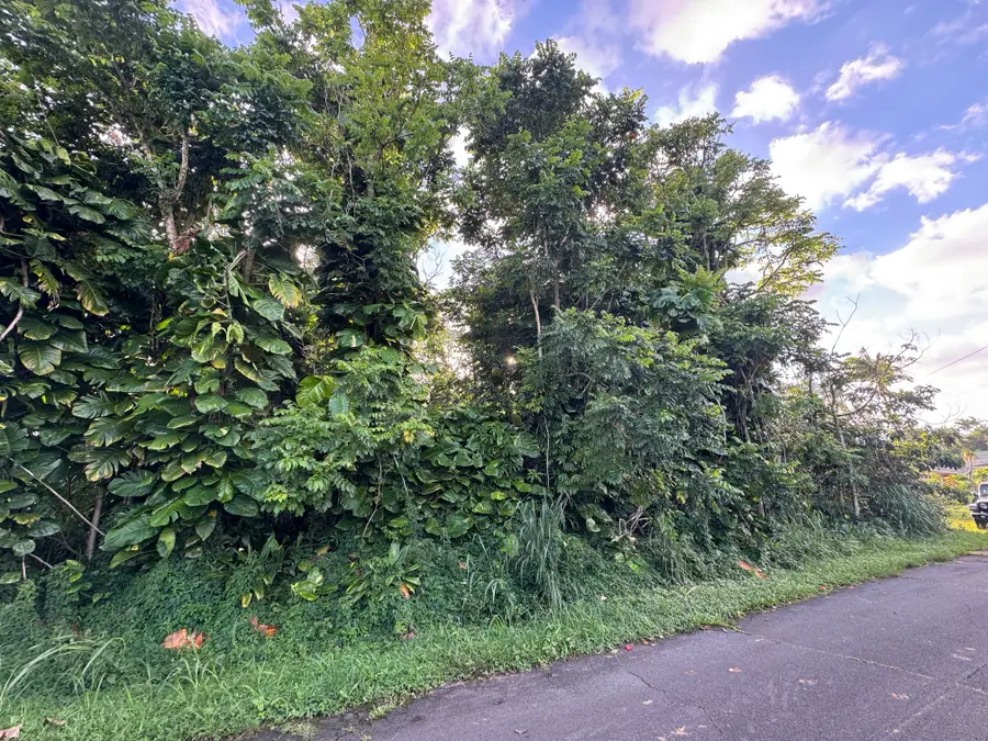 Puhala Dr, Pahoa, HI 96778 - #3