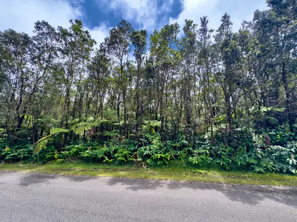 10th St, Volcano, HI 96785