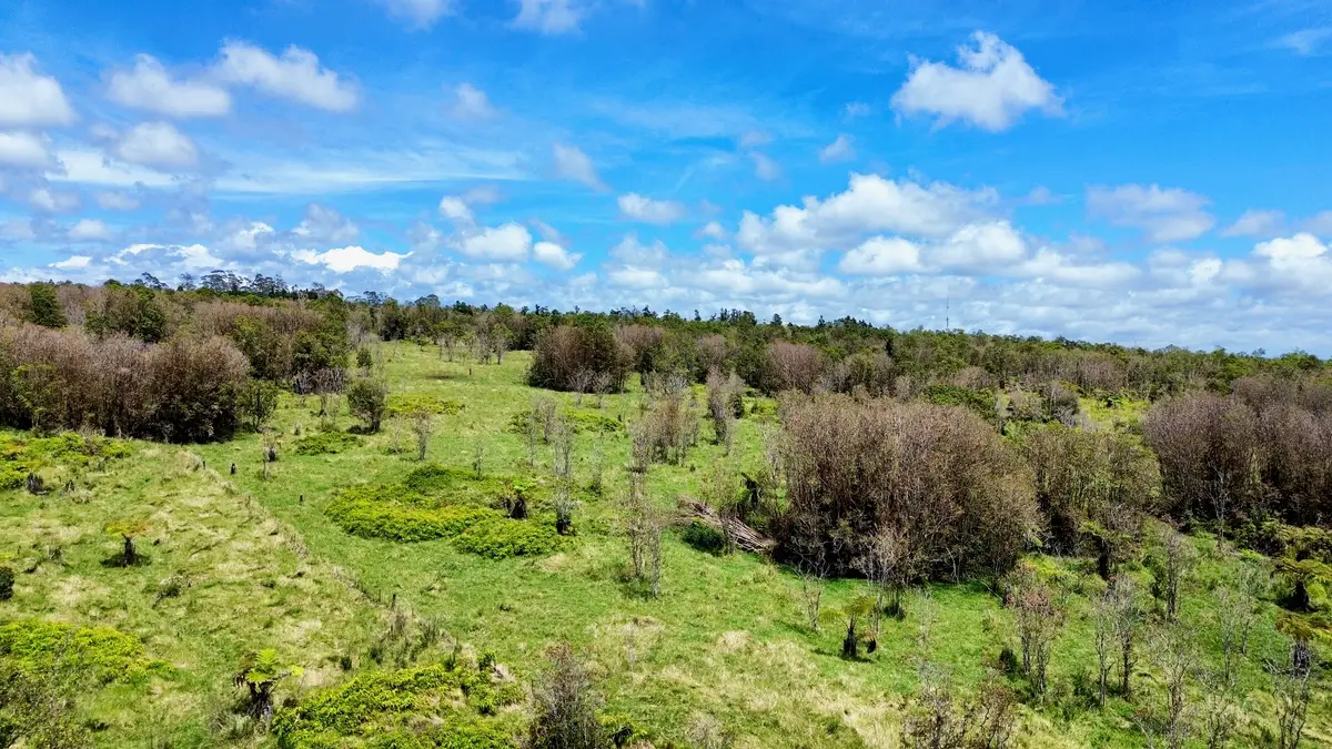18-4292 Luna Ikena Rd, Mountain View, HI 96785 - #1
