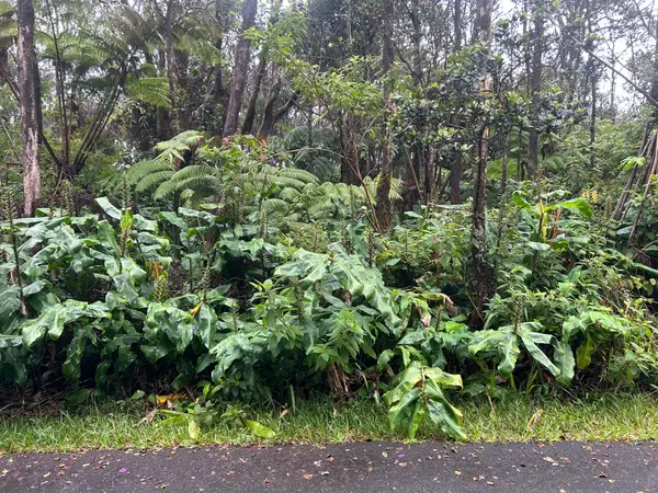 3rd St, Volcano, HI 96785
